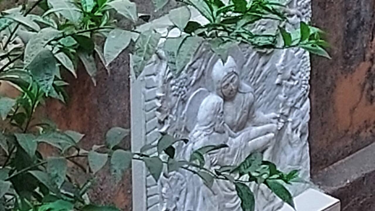 And finally, 10x zoom. 