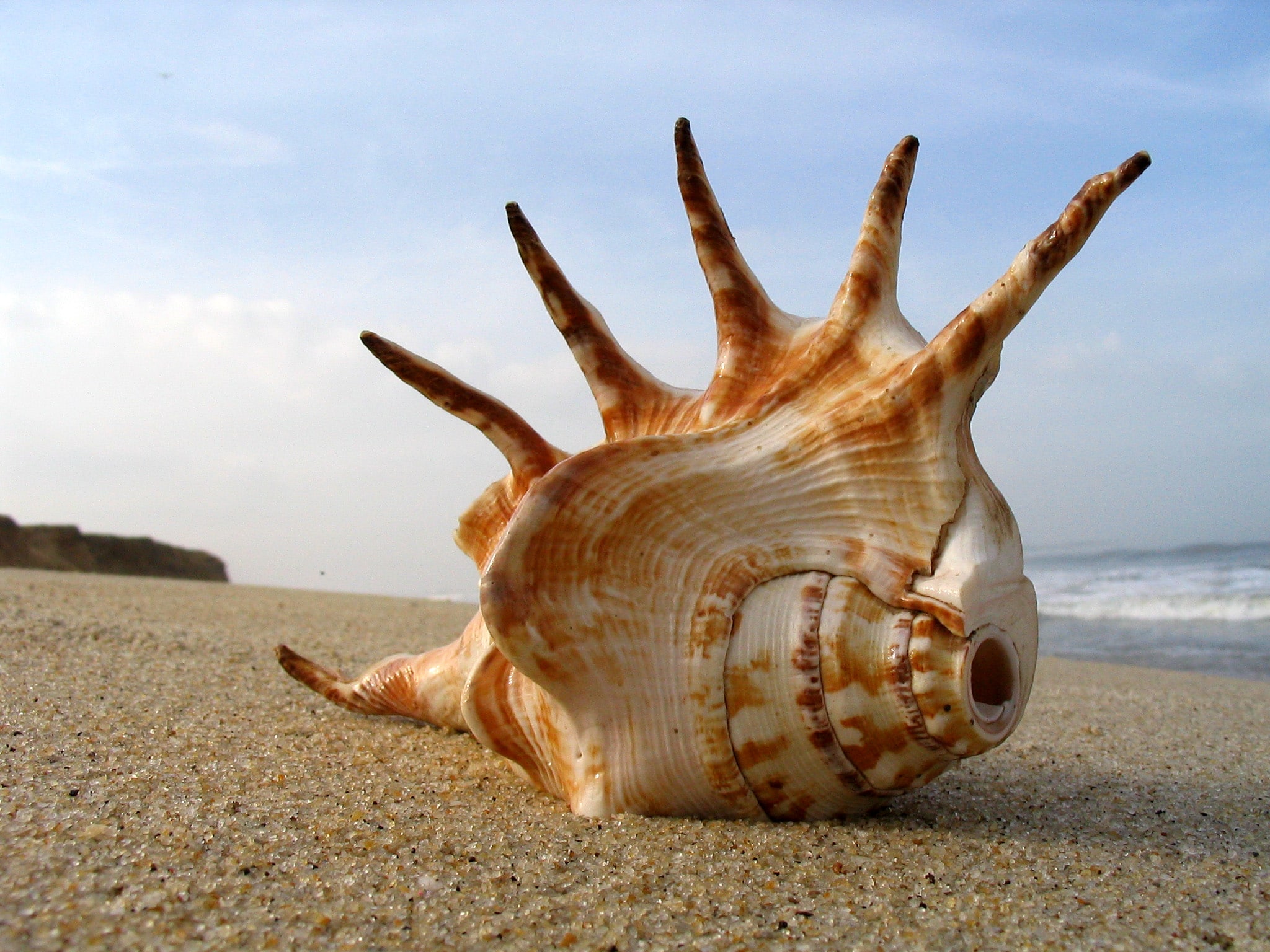 Beach_2