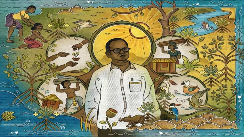 A community-created mangrove forest protects a village from eroding away