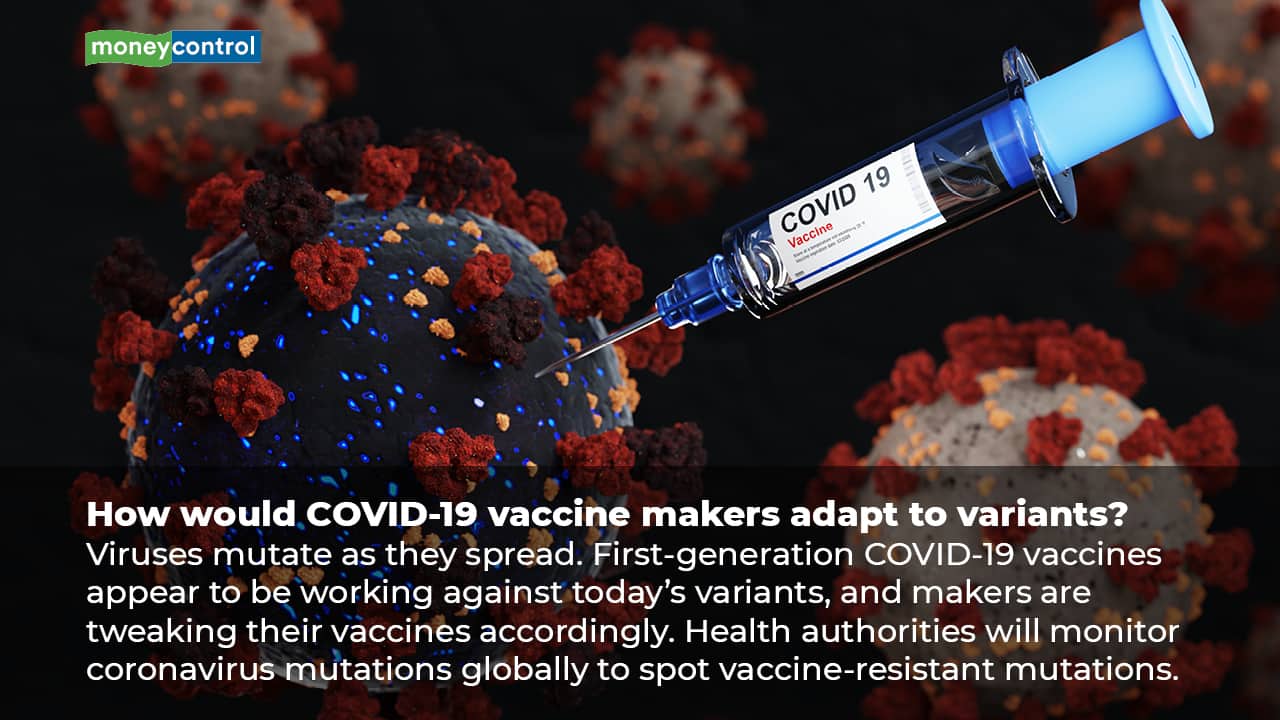 (Image: Moneycontrol)