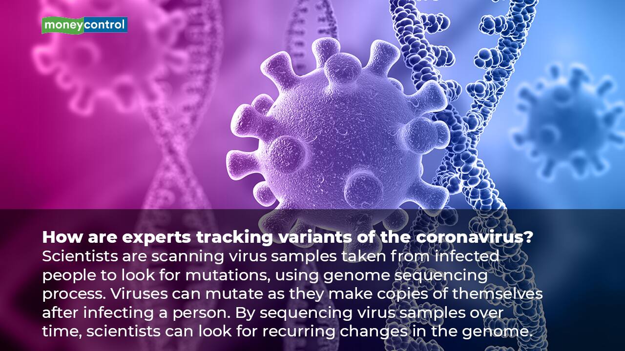 (Image: Moneycontrol)