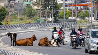 Entry level two-wheeler sales hit a bump, a sign of K-shaped recovery?
