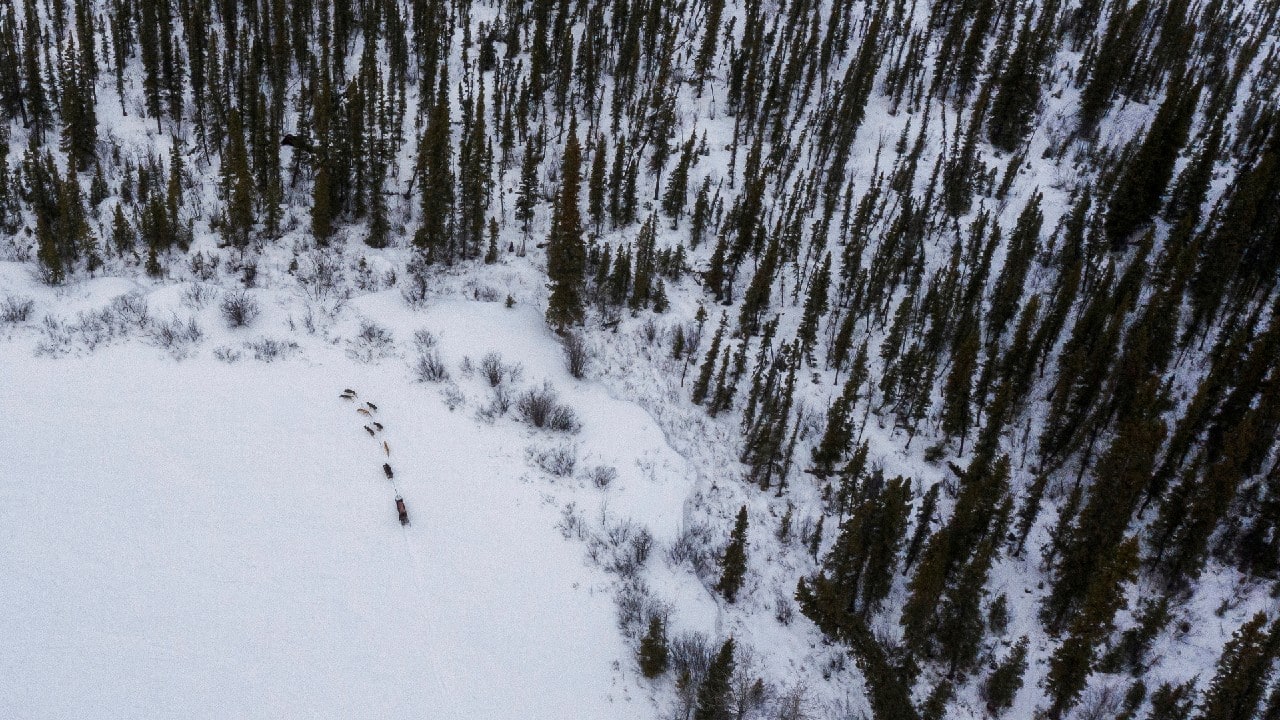 Steve Robbins leads his sled dog team across a frozen lake after helping at a vaccination site in Eagle, Alaska, U.S., March 31. (Image: Reuters)