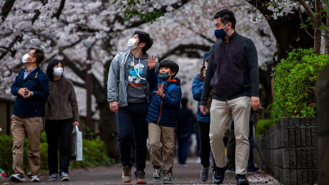 Some say it is the earliest peak bloom ever based on records from historic documents, diaries and poetry books from Kyoto. Osaka Prefecture University environmental scientist Yasuyuki Aono, who tracks such documents, said the earliest blooms he has found before this year were March 27 in the years 1612, 1409 and 1236, though there are not records for some years. (Image: AP)