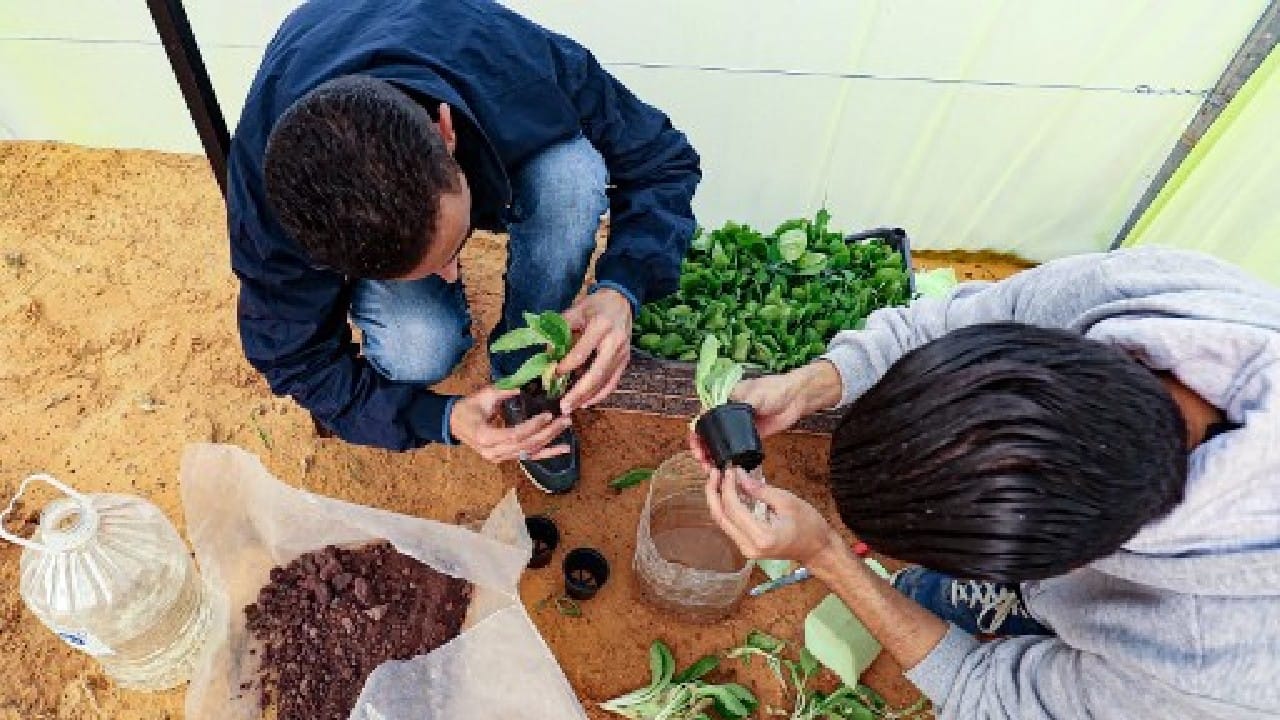Bechiya and his partner, Mounir, have been working tirelessly on their project for months in the small town of Qouwea, 40 kilometres (25 miles) east of the capital Tripoli, erecting a tunnel-shaped greenhouse surrounded by breeze-block walls on a semi-arid site. Their hope is to demystify hydroponic farming, which "guarantees a good yield in small spaces", uses little water and doesn't need pesticides, 20-year-old Bechiya told AFP. (Image: AFP) Bechiya and his partner, Mounir, have been working tirelessly on their project for months in the small town of Qouwea, 40 kilometres (25 miles) east of the capital Tripoli, erecting a tunnel-shaped greenhouse surrounded by breeze-block walls on a semi-arid site. Their hope is to demystify hydroponic farming, which "guarantees a good yield in small spaces", uses little water and doesn't need pesticides, 20-year-old Bechiya told AFP. (Image: AFP)