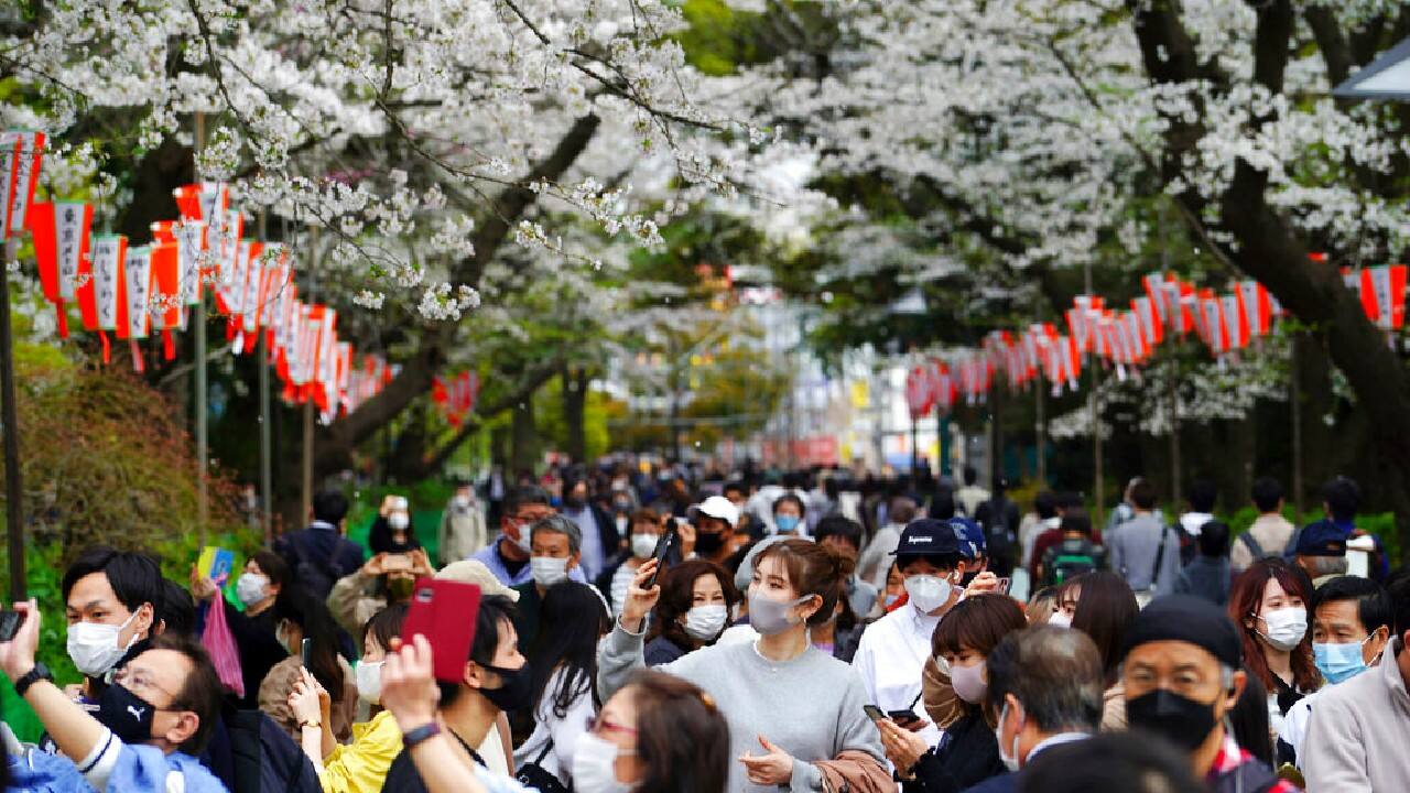 “We can say it’s most likely because of the impact of the global warming,” said Shunji Anbe, an official at the observations division at the Japan Meteorological Agency. (Image: AP)