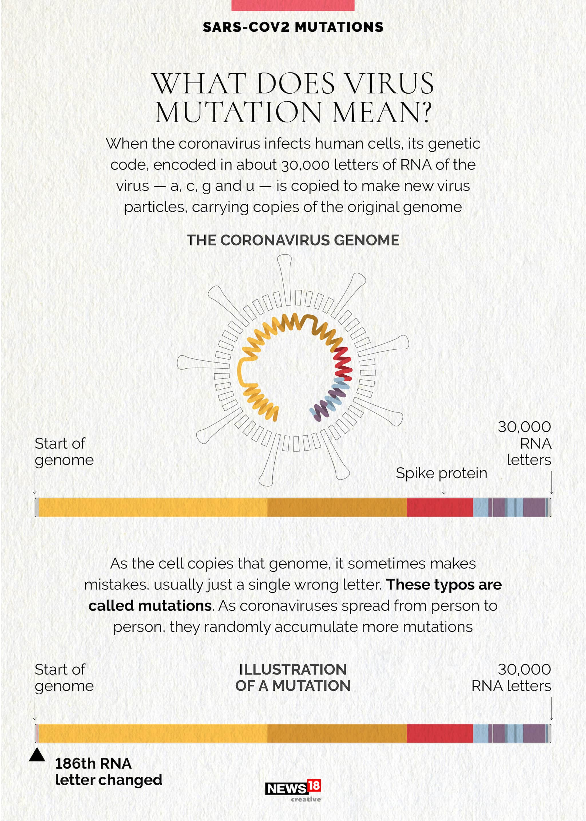 COVID-19 | Coronavirus mutations and what they mean for the pandemic