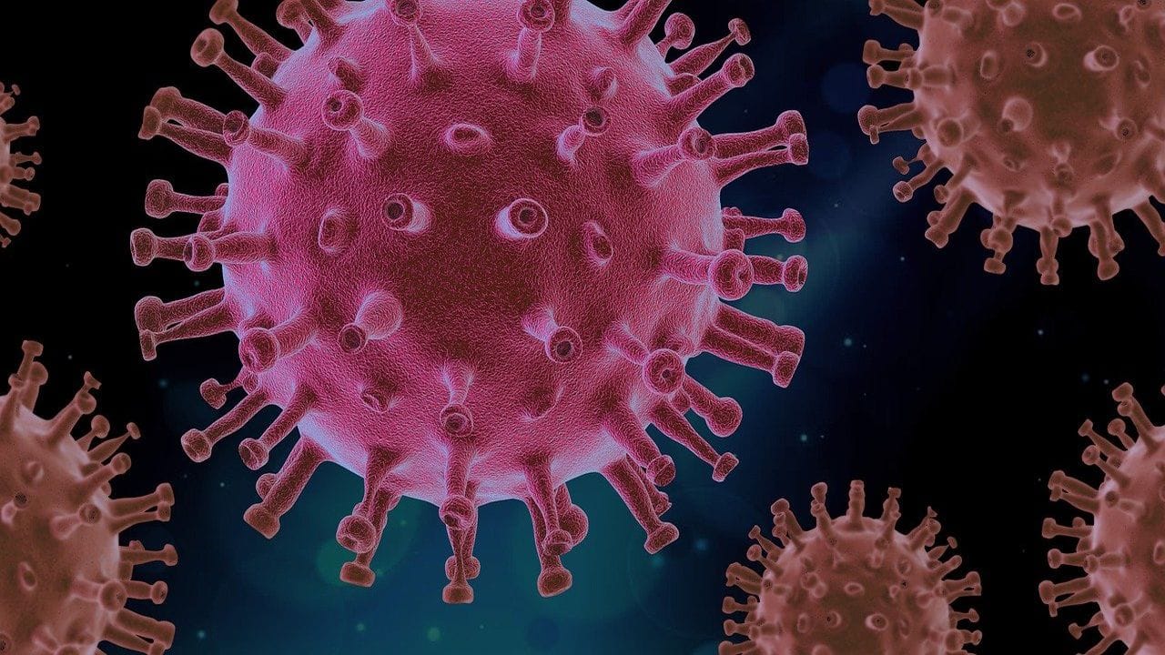 How to not be a 'Covidiot' employer during a raging pandemic How to not be a 'Covidiot' employer during a raging pandemic