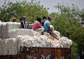 Duty-free cotton offers breather to textile stocks, but US tariff cloud continues to loom