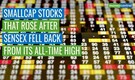 13 smallcap stocks that continued its upward trajectory even when the markets nosedived