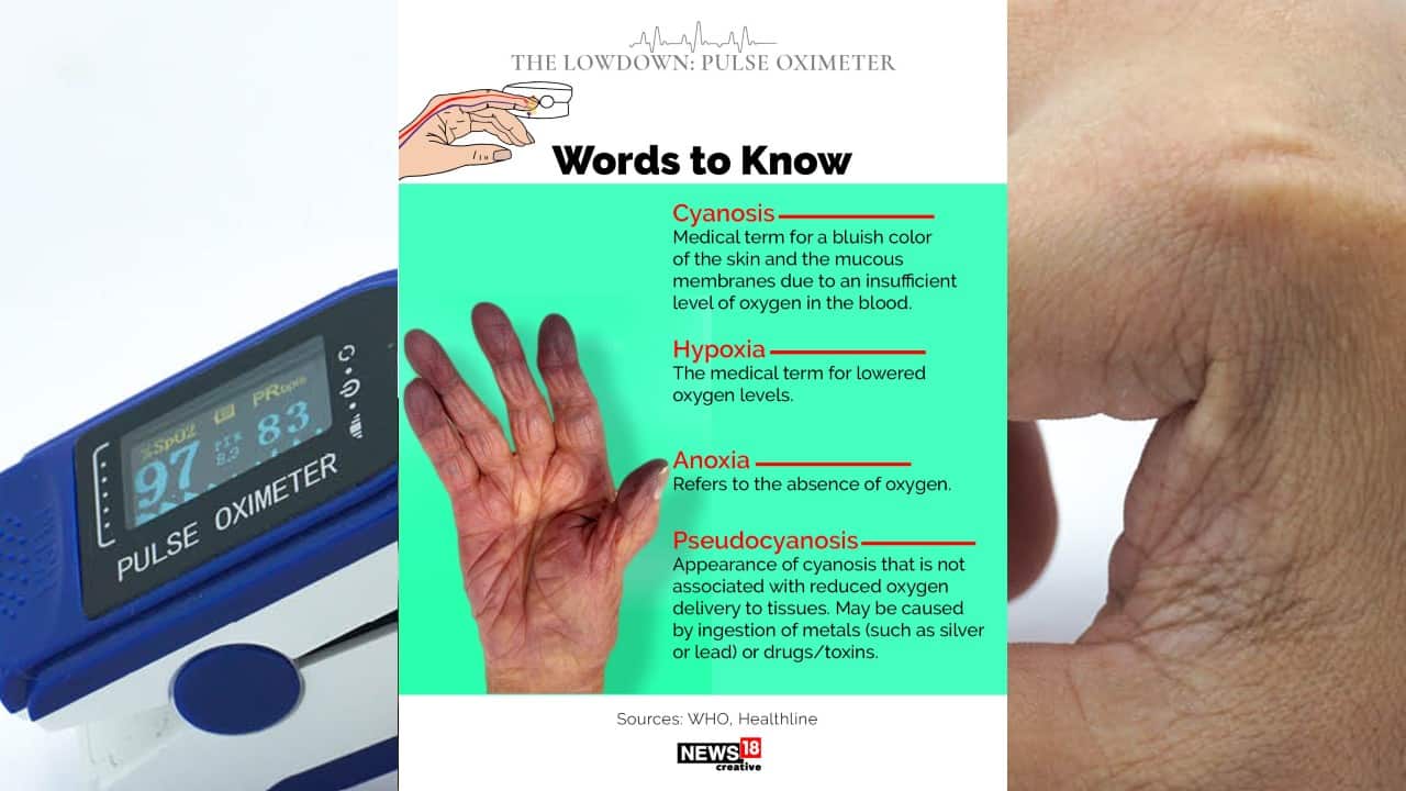 These are some words to know. (Image: News18 Creative)