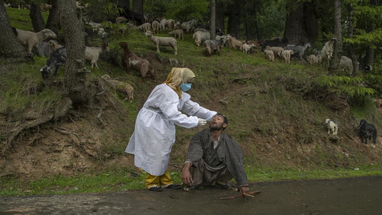 A Kashmiri doctor in a protective suit takes a nasal swab sample of a nomad to test for COVID-19 in Budgam southwest of Srinagar, Jammu and Kashmir on May 18, 2021. India's total virus cases since the pandemic began swept past 25 million on Tuesday as the country registered more than 260,000 new cases and a record 4,329 fatalities in the past 24 hours. (Image: AP)