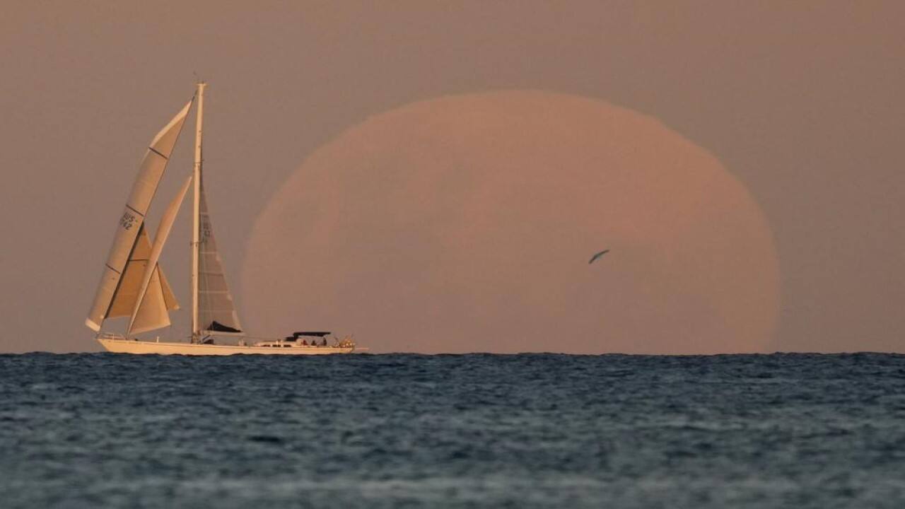 A yacht sails past as the moon rises in Sydney Wednesday, May 26, 2021. A total lunar eclipse, also known as a super &quot;blood&quot; moon will take place later as the moon appears slightly reddish-orange in color. (AP Photo/Mark Baker)