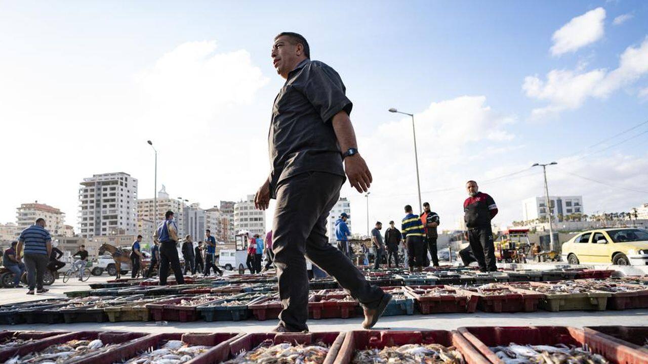 Lots of seafood are organized on the ground as buyers browse the day's catch at auction after a limited number of boats were allowed to return to the sea following a cease-fire reached after an 11-day war between Hamas and Israel, in Gaza City, Sunday, May 23, 2021. (AP Photo/John Minchillo) Lots of seafood are organized on the ground as buyers browse the day's catch at auction after a limited number of boats were allowed to return to the sea following a cease-fire reached after an 11-day war between Hamas and Israel, in Gaza City, Sunday, May 23, 2021. (AP Photo/John Minchillo)