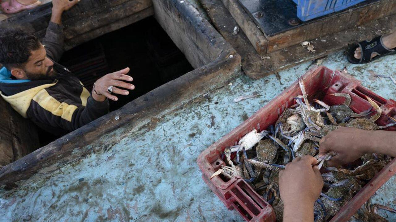 A fisherman climbs out of the hold as the boat's haul is sorted before delivery to market after a limited number of boats were allowed to return to the sea following a cease-fire reached after an 11-day war between Hamas and Israel, in Gaza City, Sunday, May 23, 2021. (AP Photo/John Minchillo) A fisherman climbs out of the hold as the boat's haul is sorted before delivery to market after a limited number of boats were allowed to return to the sea following a cease-fire reached after an 11-day war between Hamas and Israel, in Gaza City, Sunday, May 23, 2021. (AP Photo/John Minchillo)