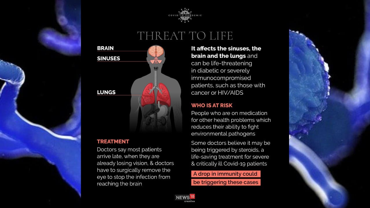 It affects the sinuses, the brain and the lungs and can be life-threatening in diabetic or severely immunocompromised patients, such as those with cancer or HIV/AIDS. (Image: News18 Creative)