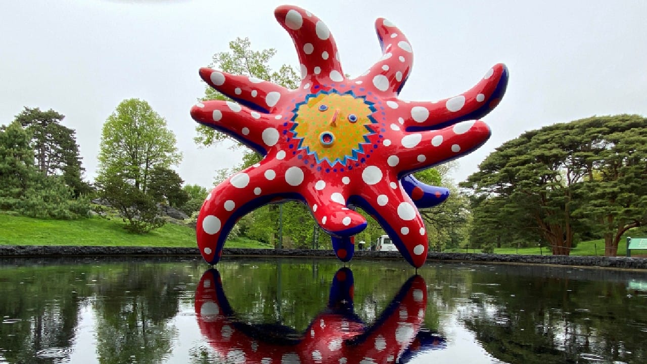 Here are some odd and unusual images from around the world Here are some odd and unusual images from around the world