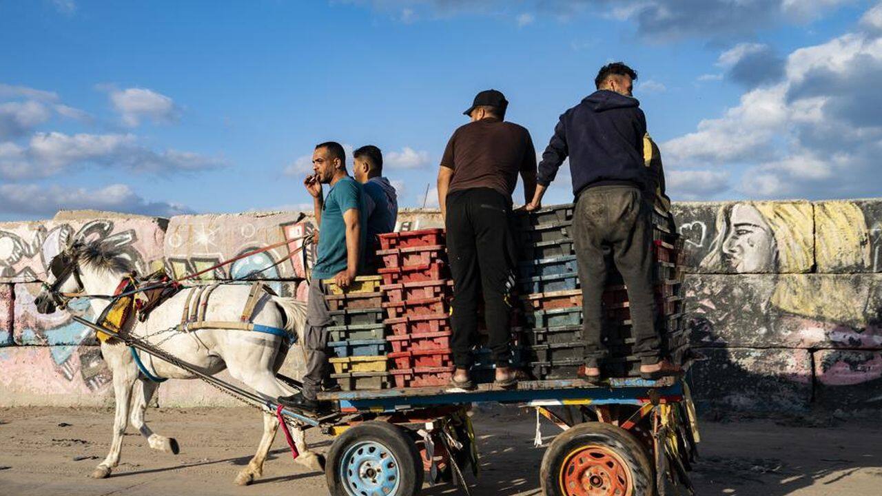 A fisherman takes a drag of a cigarette as the day's haul is delivered to market by horse-drawn cart after a limited number of boats were allowed to return to the sea following a cease-fire reached after an 11-day war between Hamas and Israel, in Gaza City, Sunday, May 23, 2021. (AP Photo/John Minchillo) A fisherman takes a drag of a cigarette as the day's haul is delivered to market by horse-drawn cart after a limited number of boats were allowed to return to the sea following a cease-fire reached after an 11-day war between Hamas and Israel, in Gaza City, Sunday, May 23, 2021. (AP Photo/John Minchillo)