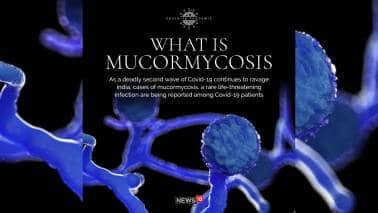 Black Fungus Infection | India cannot allow another bug to dictate terms to us Black Fungus Infection | India cannot allow another bug to dictate terms to us