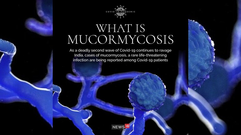 Symptoms mucormycosis Get Yourself