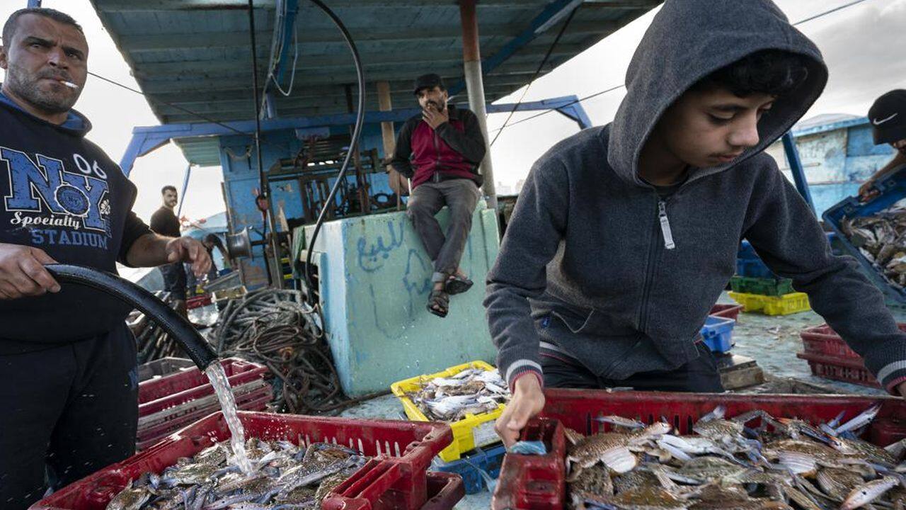 Fishermen unload their hold before sorting and delivering their haul to market after a limited number of boats were allowed to return to the sea following a cease-fire reached after an 11-day war between Hamas and Israel, in Gaza City, Sunday, May 23, 2021. (AP Photo/John Minchillo) Fishermen unload their hold before sorting and delivering their haul to market after a limited number of boats were allowed to return to the sea following a cease-fire reached after an 11-day war between Hamas and Israel, in Gaza City, Sunday, May 23, 2021. (AP Photo/John Minchillo)