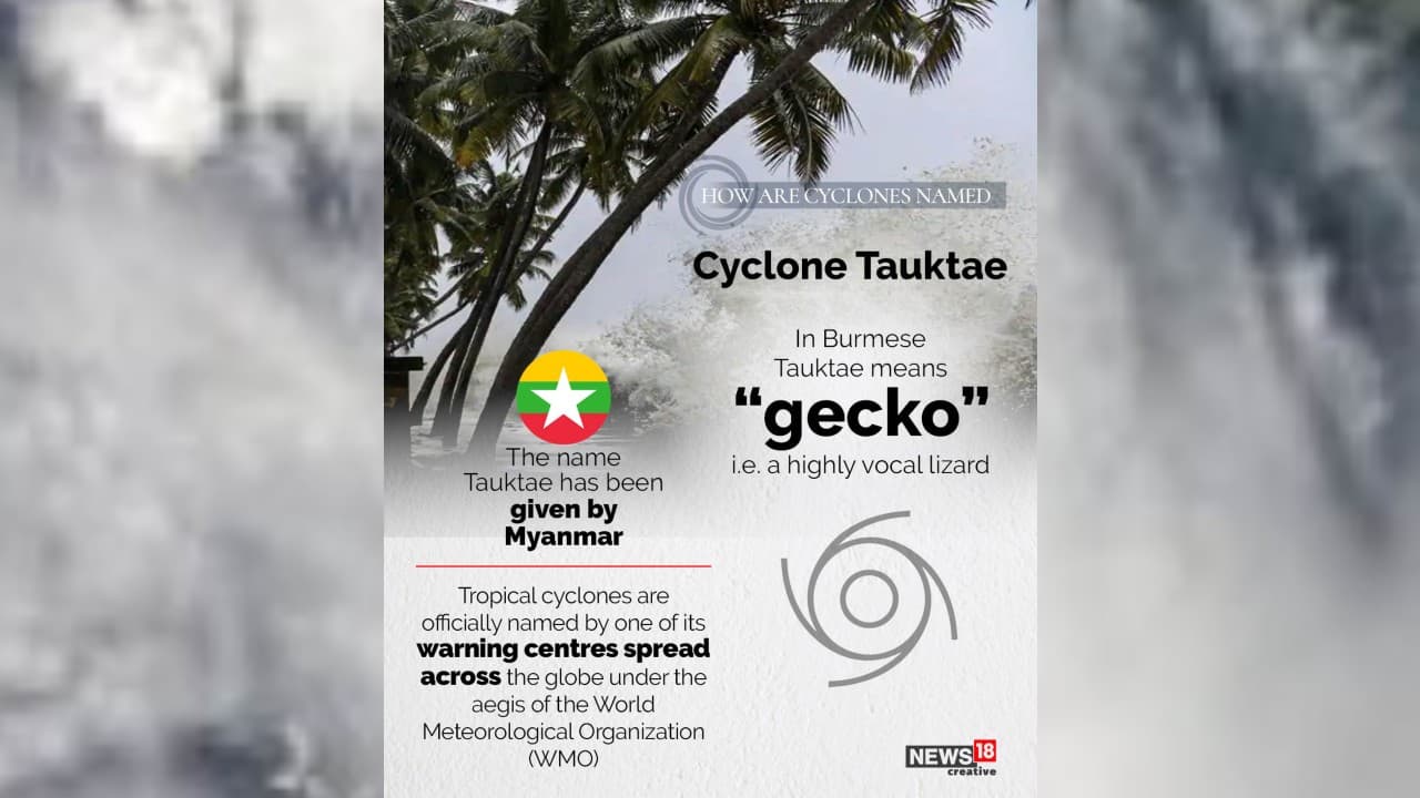 The name Tauktae has been given by Myanmar. (Image: News18 Creative)