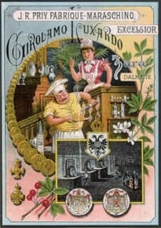 A 1905 advertisement for Girolamo Luxardo. Confectionery, Vienna. (Image via Wikimedia Commons)