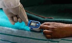 Coronavirus News Highlights: Karnataka logs 16,387 fresh positive cases, 21,199 recoveries, and 463 deaths