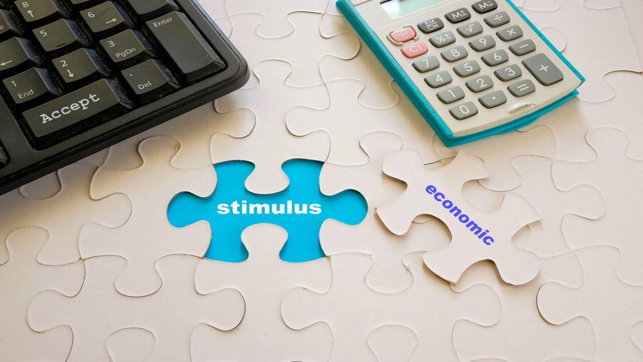 Stimulus measures inadequate, larger economic package needed for recovery: Parliamentary panel