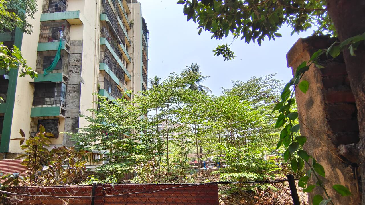 The ultrawide maintains colour consistency across the main sensor in daylight, but I’ve yet to use it in other scenarios. 