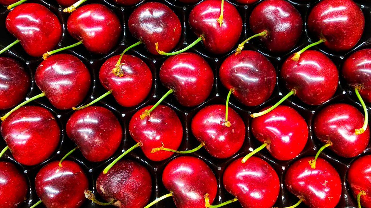 US expected to sharpen push for market access in upcoming trade talks