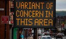Vaccines versus variants: Will the world ever reach herd immunity?