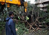 Cyclone Tauktae: Goa government pegs losses at Rs 146 crore