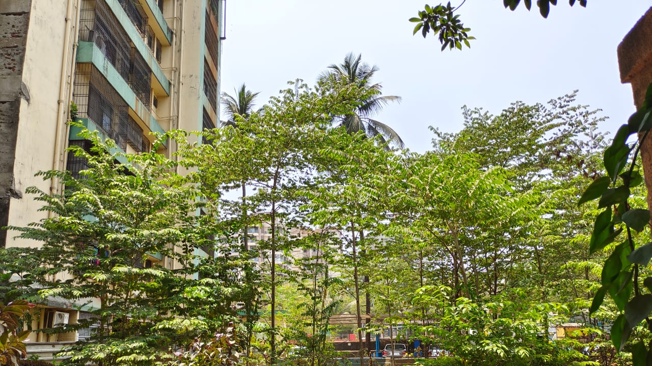 The primary camera takes good photos in daylight, maintaining a ton of detail and sharpness. 