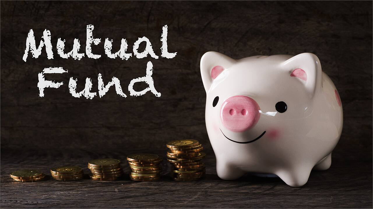 Want to invest in mutual funds? Here’s help on choosing the right scheme categories