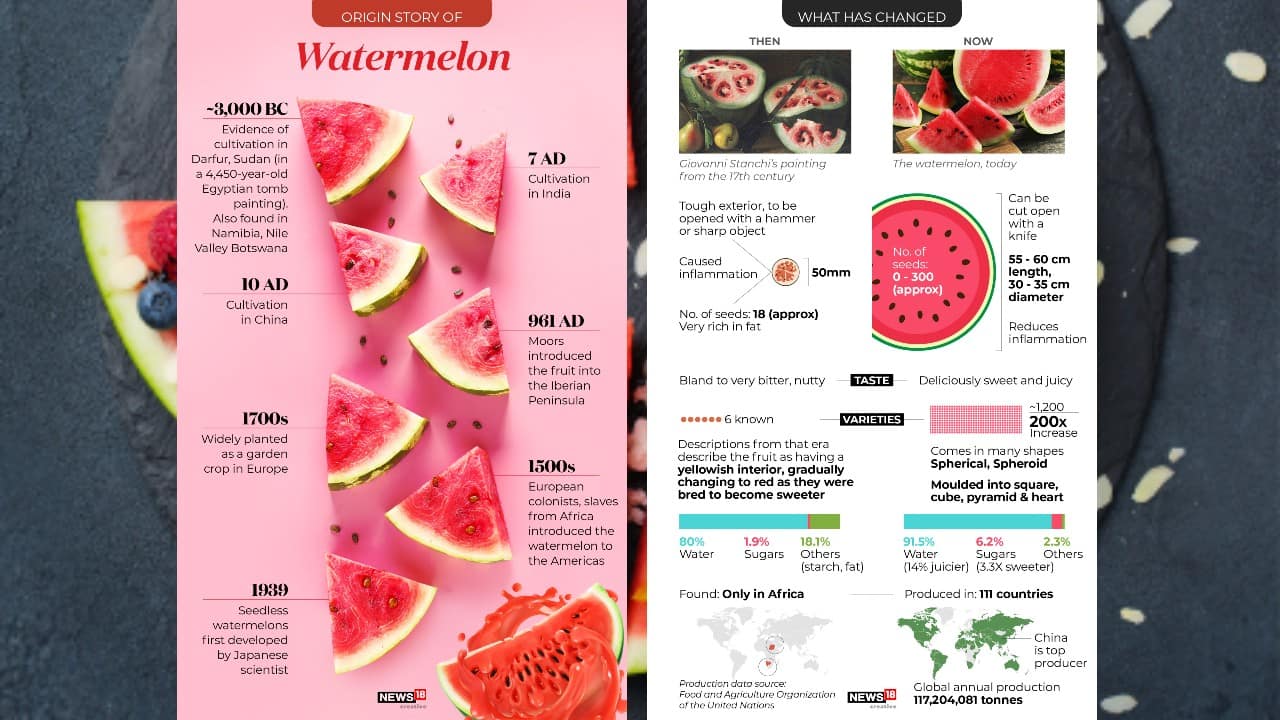 Watermeloan | -3000 BC | Evidence of cultivation in Darfur, Sudan (in a 4,450-year-old Egyptian tomb painting). Also found in Nambia, Nile Valley Botswana. (Image: News18 Creative)