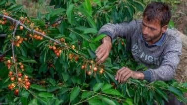 Food and Fertilizers: Human Waste Could Supply the Nutrients Farmers Need