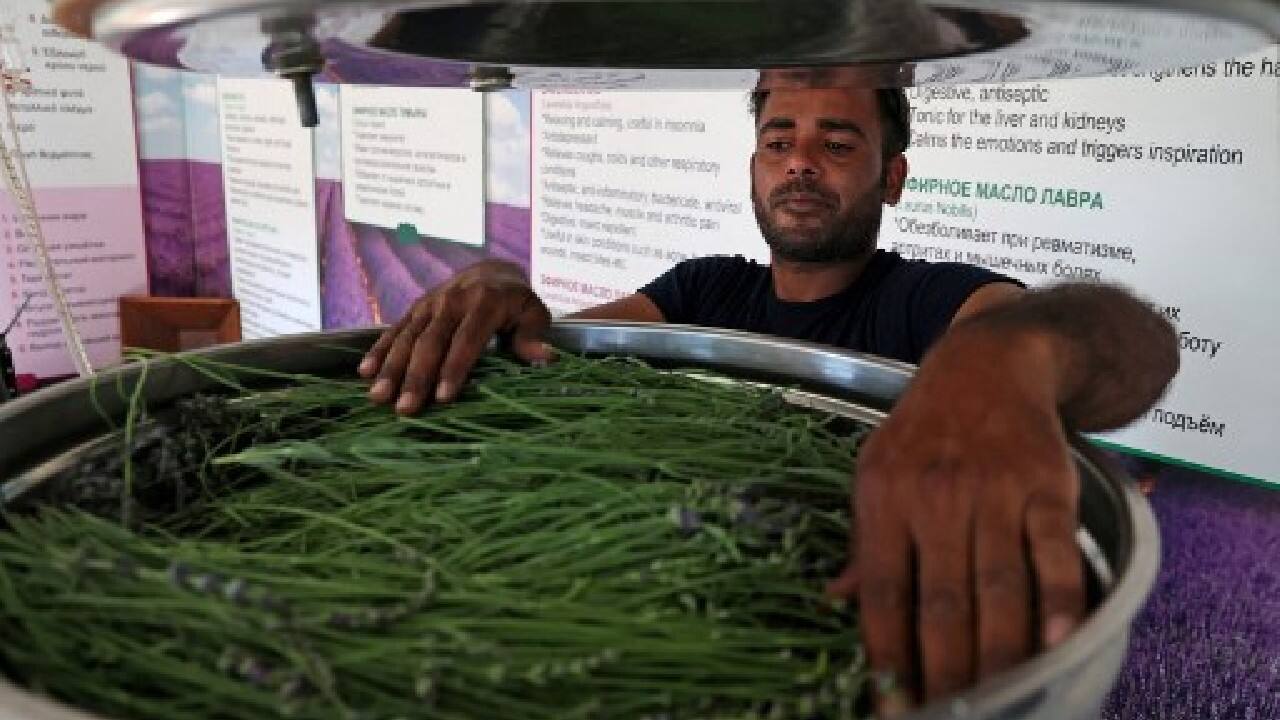Today, a partly European Union-funded project aims to promote tourism in six southern European states -- Bosnia-Herzegovina, Croatia, Cyprus, France, Italy and Malta -- with the lure of their aromatic and medicinal plants. (Image: AFP)