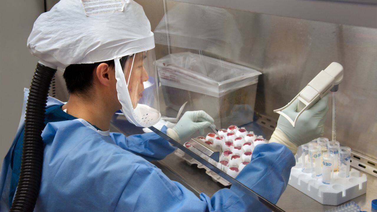 A 2013 image of a Centers for Disease Control and Prevention (CDC) scientist harvesting H7N9 virus, grown for the purpose of sharing with partner laboratories for research.