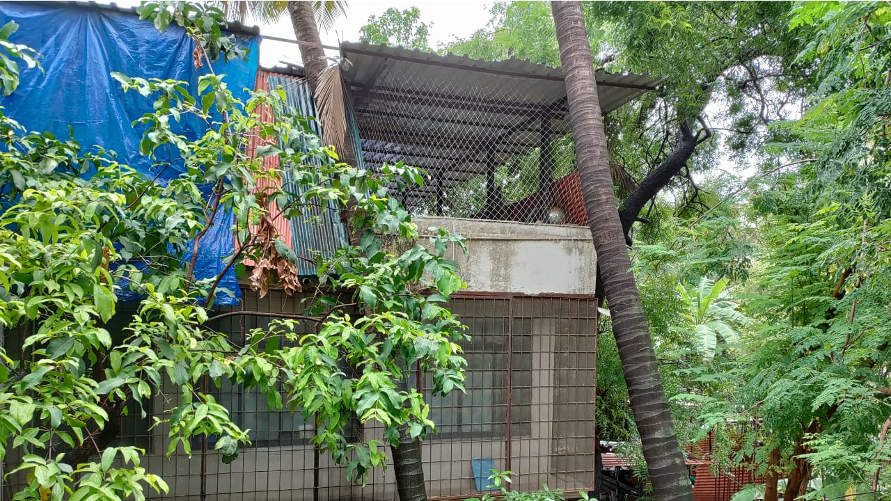 Camera performance on the OnePlus Nord CE 5G is surprisingly good for a sub-25K phone. It isn’t anything out of the ordinary but just about good enough to rival the Oppo F19 Pro Plus (Review) and the Mi 10i (Review). However, we’ll take a more in-depth look into the phone’s camera performance during our full review of the Nord CE 5G. 