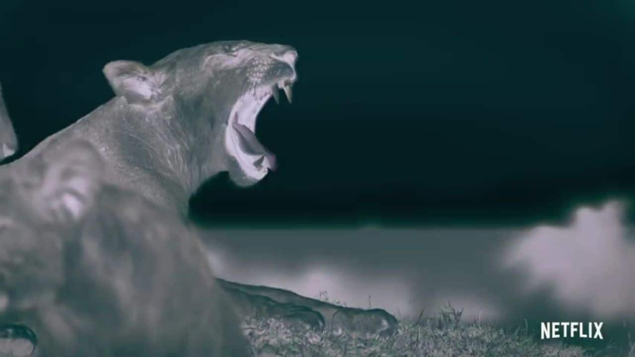 10 documentaries that made us fall in love with nature