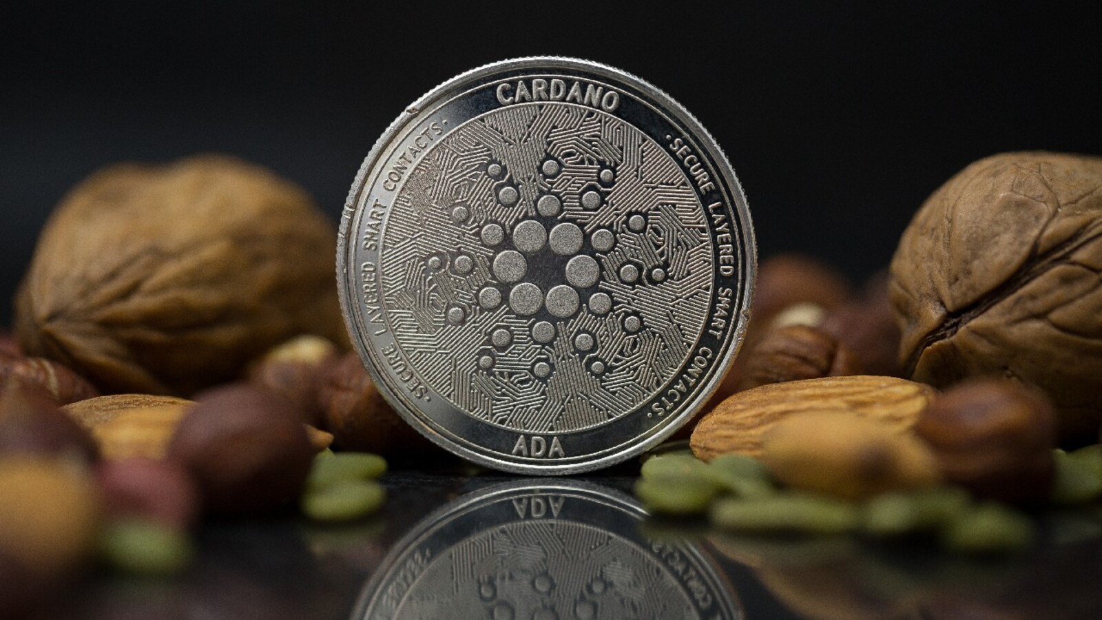 Why is everyone talking about Cardano?