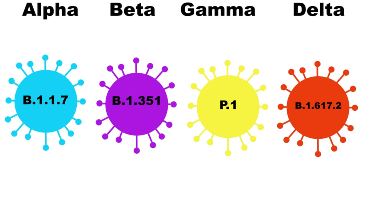 Gamma lambda beta alpha delta Delta, Lambda,
