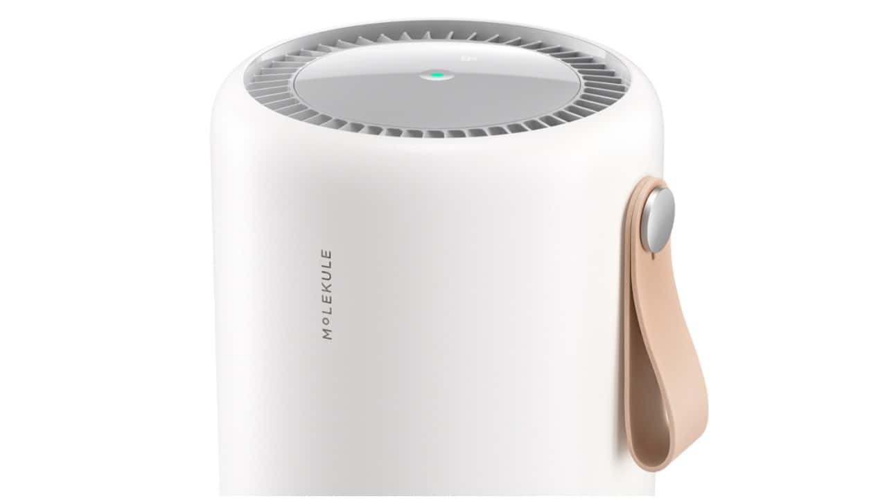 Another Air purifier making it to our list of best Father's Day gifting ideas is the Molekule Air Mini+. It features the company's patented Photo Electrochemical Oxidation (PECO) technology, which not just captures but also destroys viruses, bacteria, allergens, mold, and other pollutants at the molecular level, that are 1000 times smaller than those tested in HEPA standard tests. It comes with enhanced features, such as a particulate matter sensor, automatic fan speeds via Auto Protect mode, and a vegan leather handle. Another Air purifier making it to our list of best Father's Day gifting ideas is the Molekule Air Mini+. It features the company's patented Photo Electrochemical Oxidation (PECO) technology, which not just captures but also destroys viruses, bacteria, allergens, mold, and other pollutants at the molecular level, that are 1000 times smaller than those tested in HEPA standard tests. It comes with enhanced features, such as a particulate matter sensor, automatic fan speeds via Auto Protect mode, and a vegan leather handle.