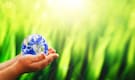 World Environment Day 2021 | UGC asks universities, colleges to celebrate with online events World Environment Day 2021 | UGC asks universities, colleges to celebrate with online events