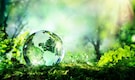 World Environment Day 2021 | What it is and why it is gaining significance now World Environment Day 2021 | What it is and why it is gaining significance now