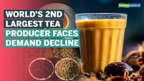 Weather concerns in tea producing areas pushing prices higher again this year