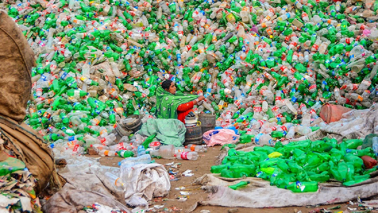This woman is collecting and separating plastic bottles according to their type, so she can then sell them to recycling factories in Mandi Bahauddin Punjab, Pakistan (Image: Sufyan Arshad (Pakistan) via UN) This woman is collecting and separating plastic bottles according to their type, so she can then sell them to recycling factories in Mandi Bahauddin Punjab, Pakistan (Image: Sufyan Arshad (Pakistan) via UN)