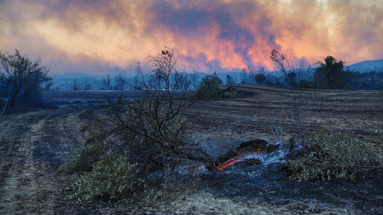Antalya, a popular destination for both foreign and local tourists, is known for its scorching summer heat. Bocek said the extreme heat and strong winds were fanning the fire as it swept through the pine forest. (Image: Reuters) Antalya, a popular destination for both foreign and local tourists, is known for its scorching summer heat. Bocek said the extreme heat and strong winds were fanning the fire as it swept through the pine forest. (Image: Reuters)