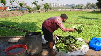 Agricultural laborer in Maharashtra. (Image: Mongabay/Geetanjali Gurlhosur)